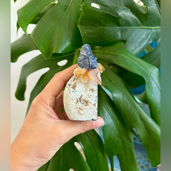 Parrot carving on Agate geode - Picture 4 of 5